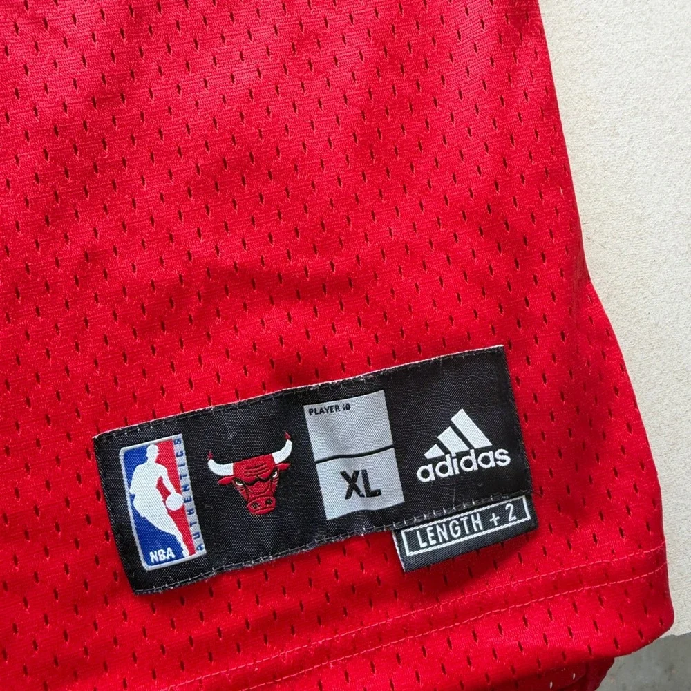 Y2K Adidas Ben Wallace Chicago Bulls Jersey